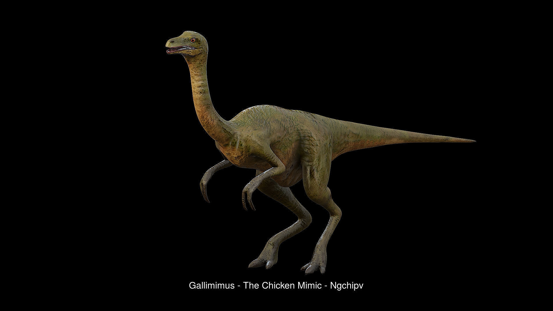 Dinosaur Collection 1 _14