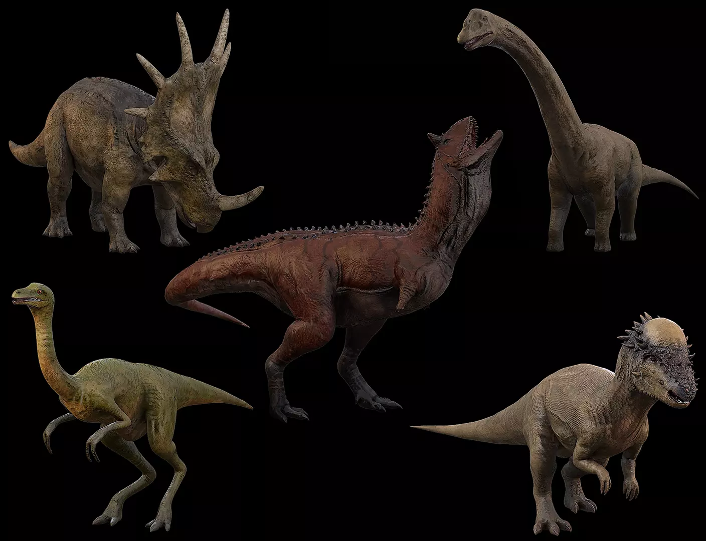 Dinosaur Collection 1 _0