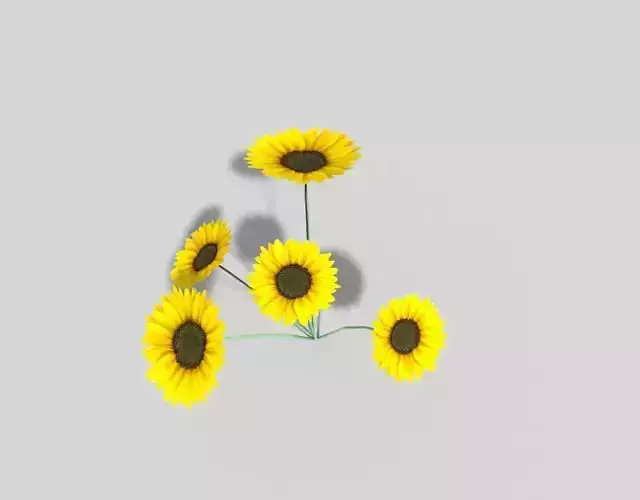 low poly flower sunflowers Low-poly 3D model