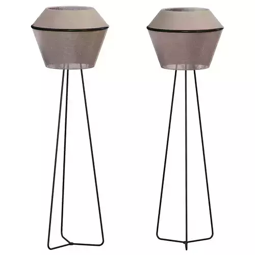 Darling By DitreiItalia