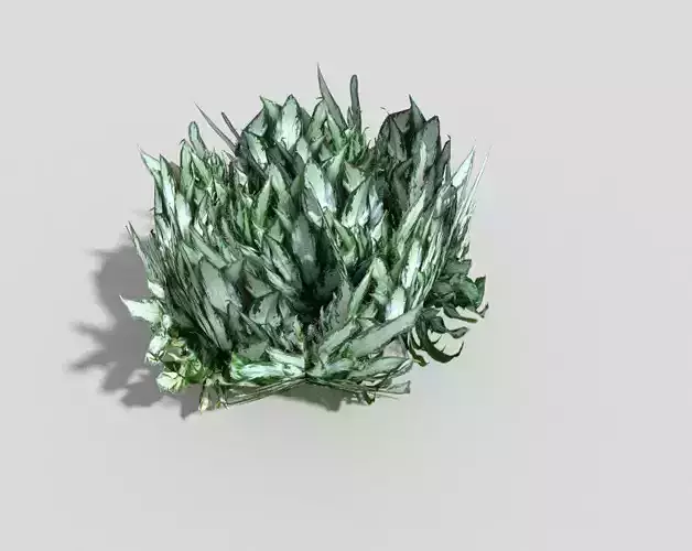 Low poly Plant