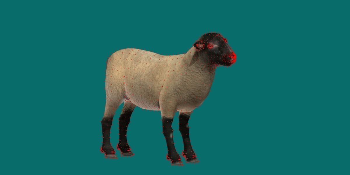 Suffolk Sheep Animal Low-poly 3D model_23