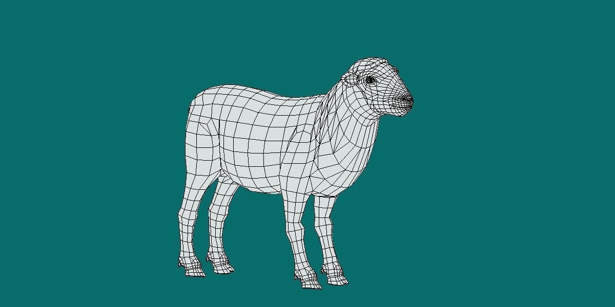 Suffolk Sheep Animal Low-poly 3D model_29