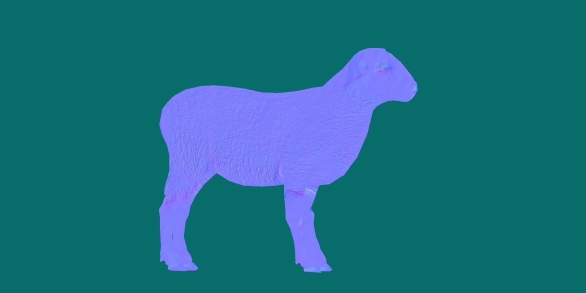 Suffolk Sheep Animal Low-poly 3D model_21