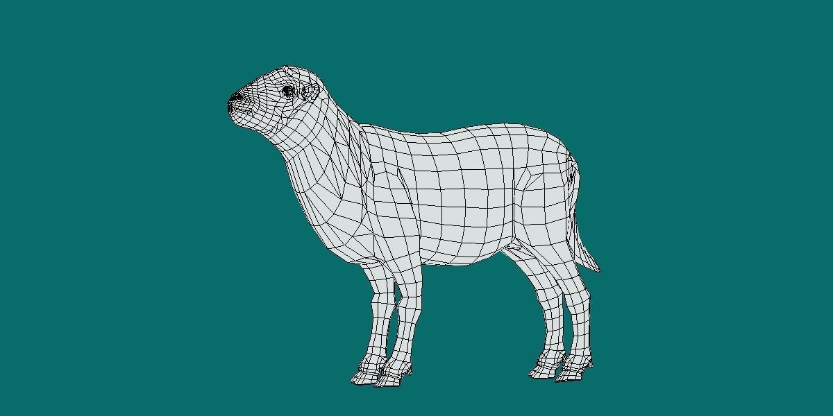 Suffolk Sheep Animal Low-poly 3D model_18