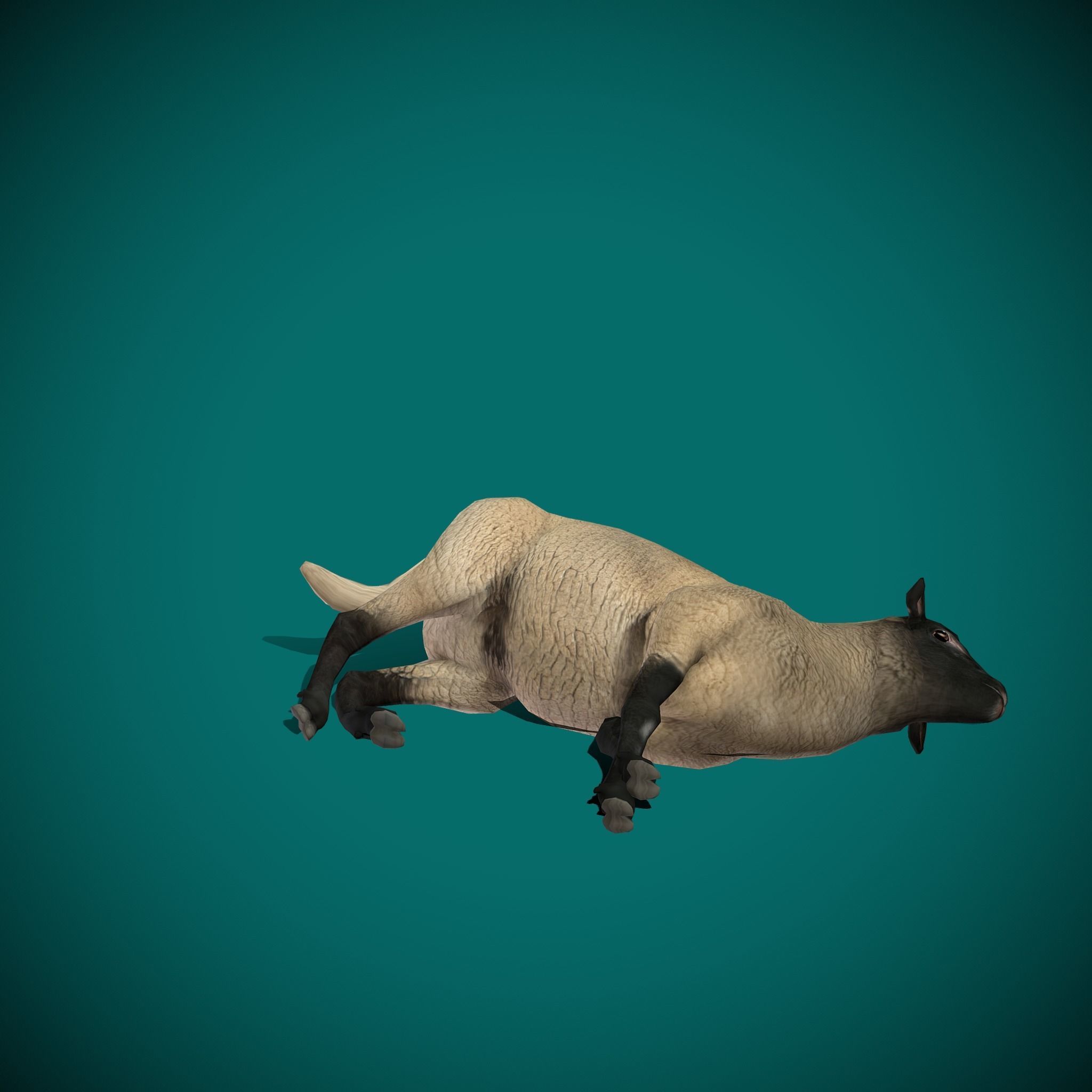 Suffolk Sheep Animal Low-poly 3D model_24
