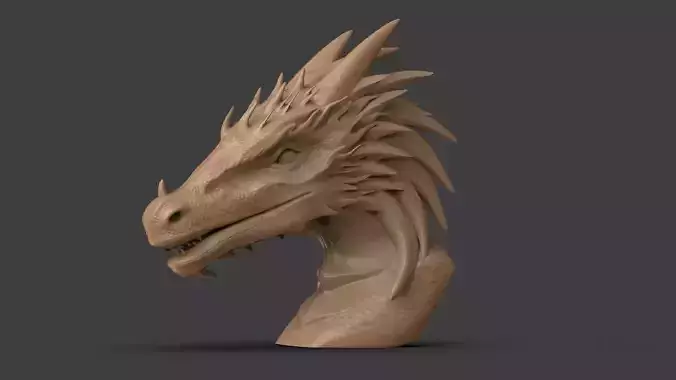 Dragon Bust