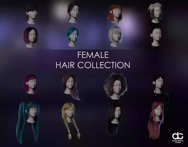 Female Hair Collection -Big Hairstyle Set 16 pieces - Game Ready Low-poly 3D model