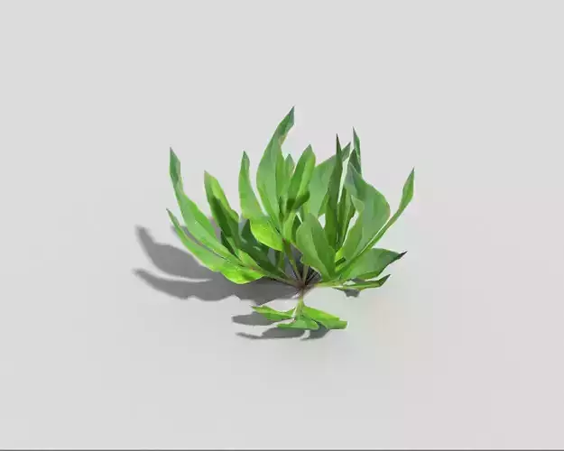 Low poly Plant