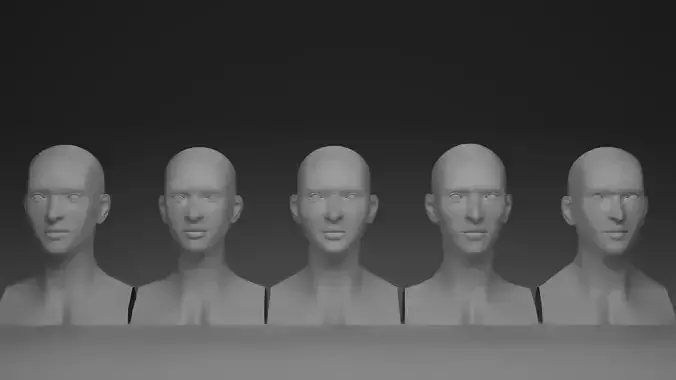 Stylized Female Head 