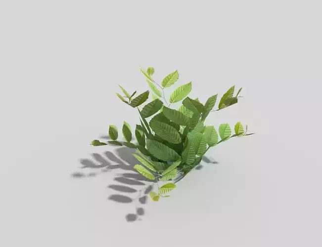 Low poly Plant Low-poly 3D model