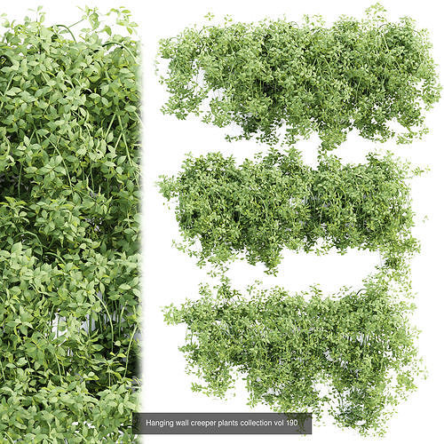 37 Hanging plant models collection 3D Model Pack 7