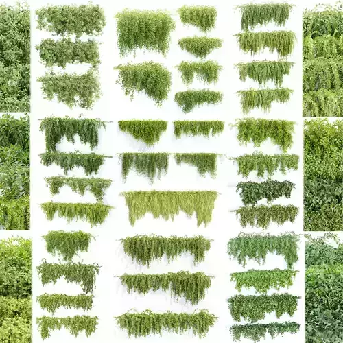 37 Hanging plant models collection 