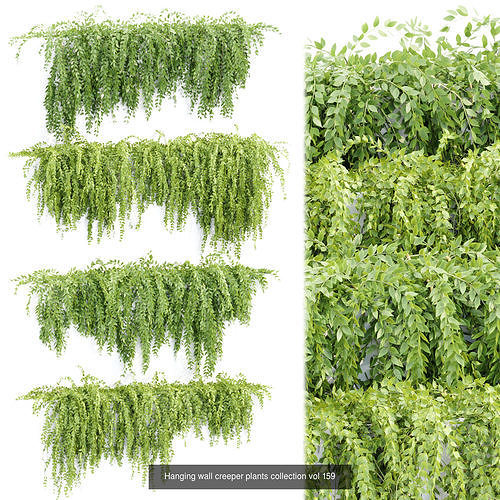 37 Hanging plant models collection 3D Model Pack 5