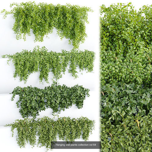 37 Hanging plant models collection 3D Model Pack 6