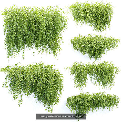37 Hanging plant models collection 3D Model Pack 2