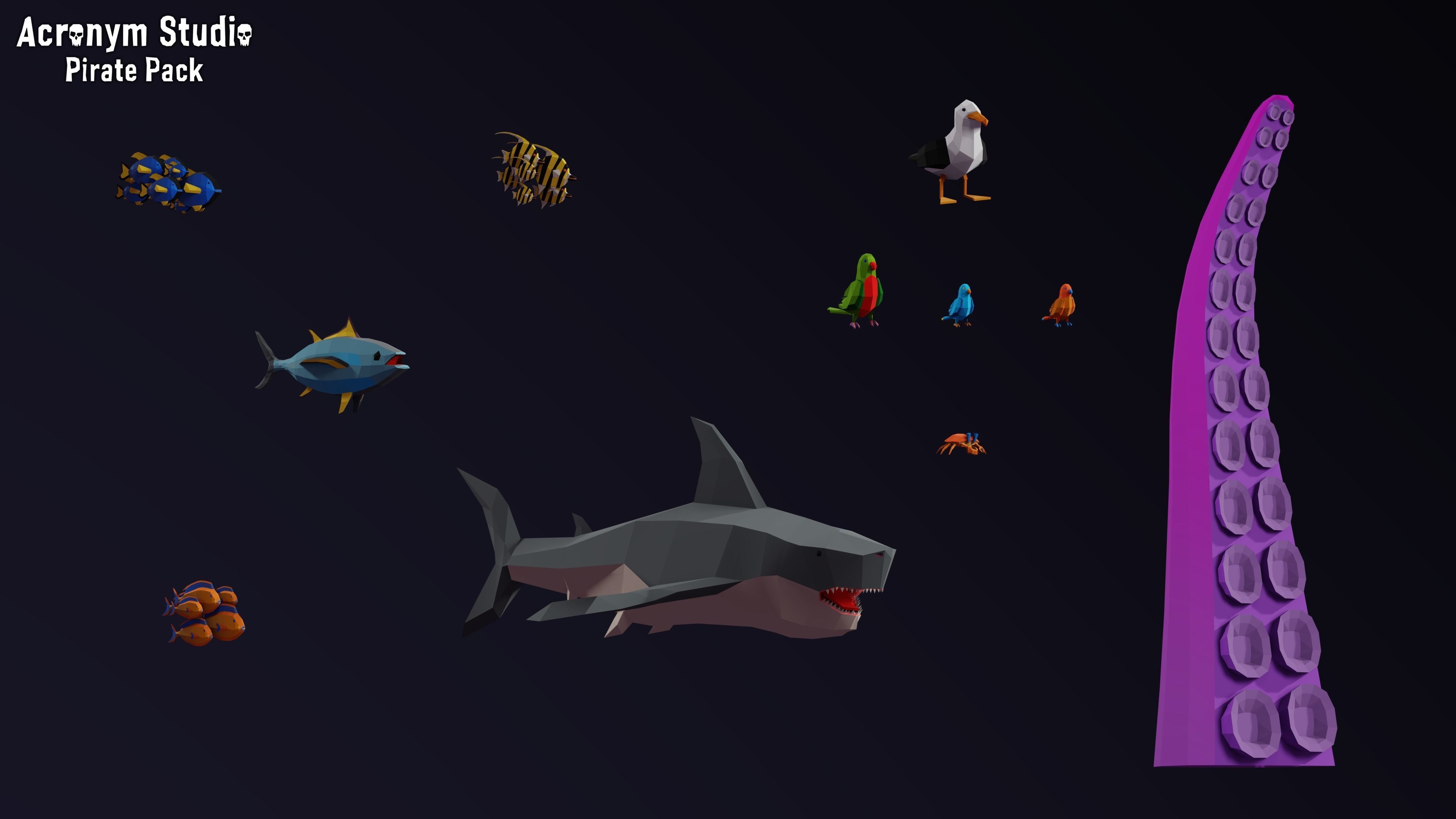 Acronym - Pirate Pack Low-poly 3D model_28