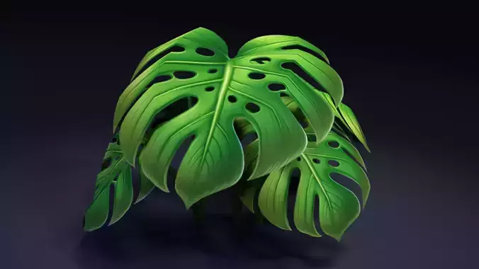 Monstera plant stylized bush low poly game ready