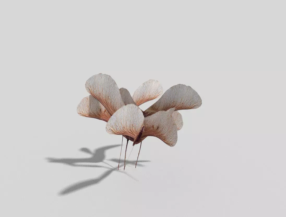 Low poly Plant flower Free low-poly 3D model