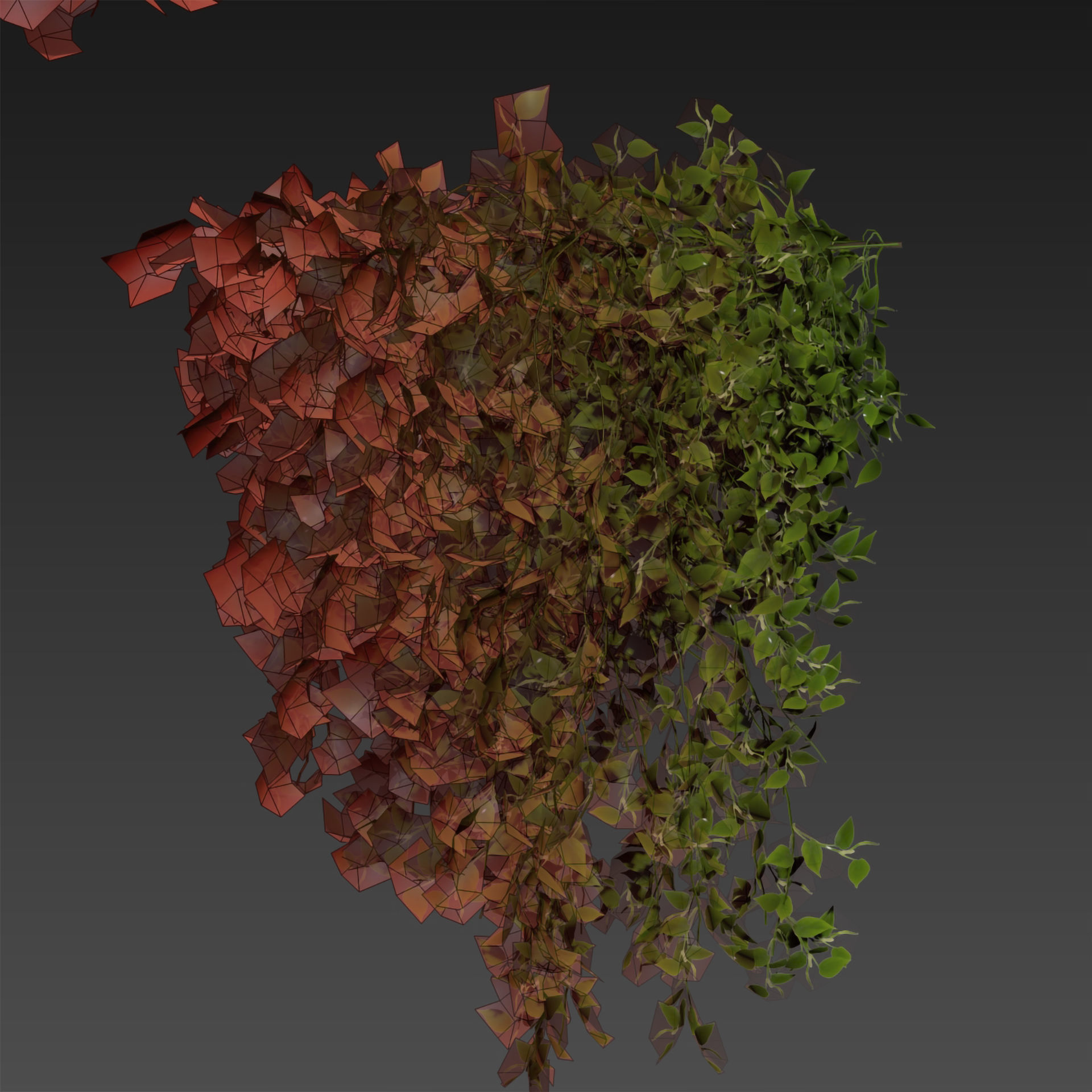 Collection plant vol 529 - bush - Outdoor - ivy - pothos  3D model_6