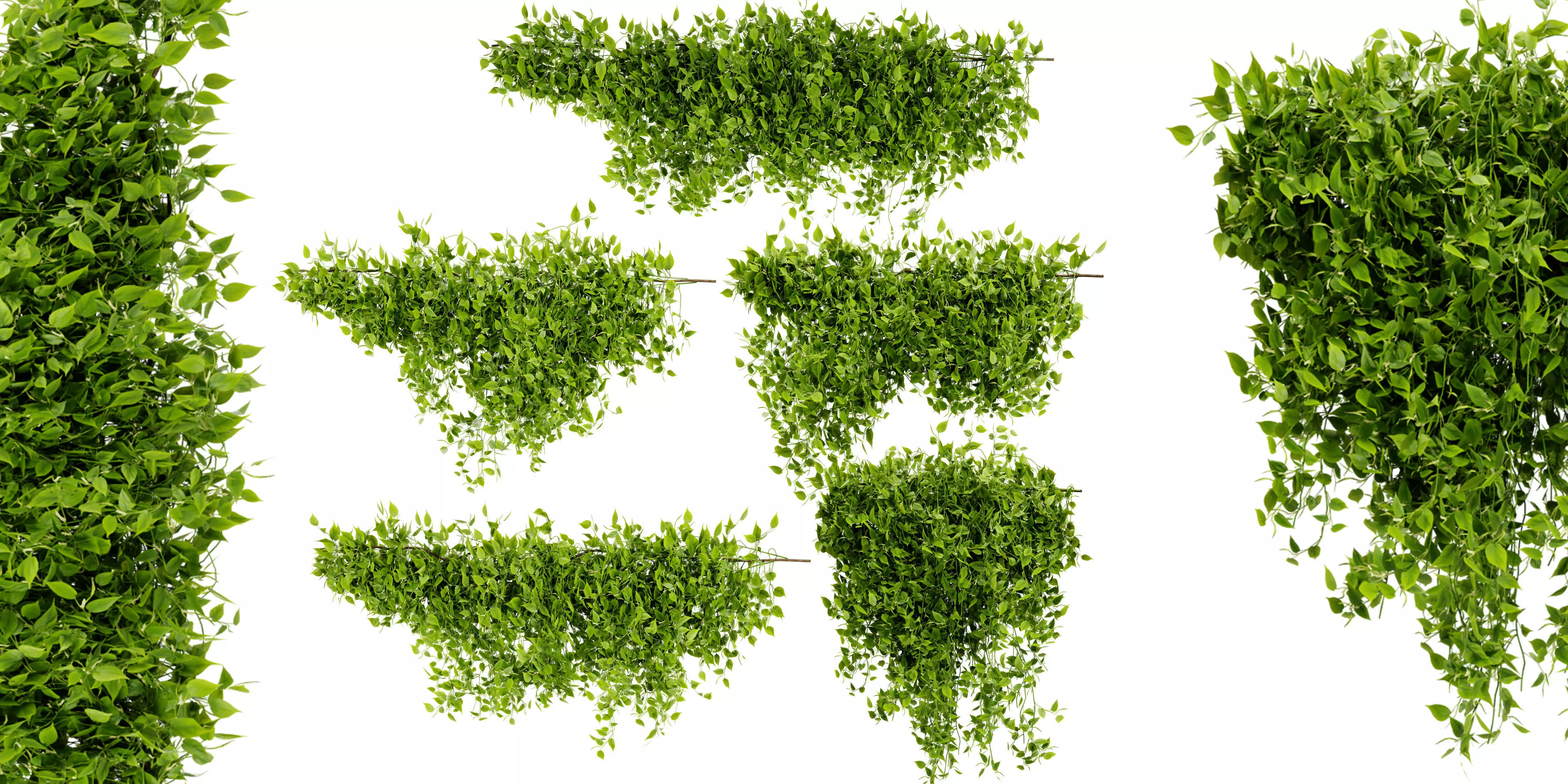 Collection plant vol 529 - blender model 3D model