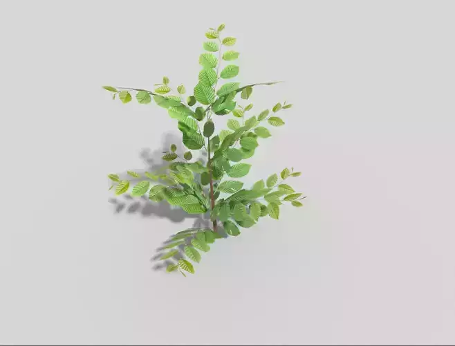Low poly Plant Low-poly 3D model