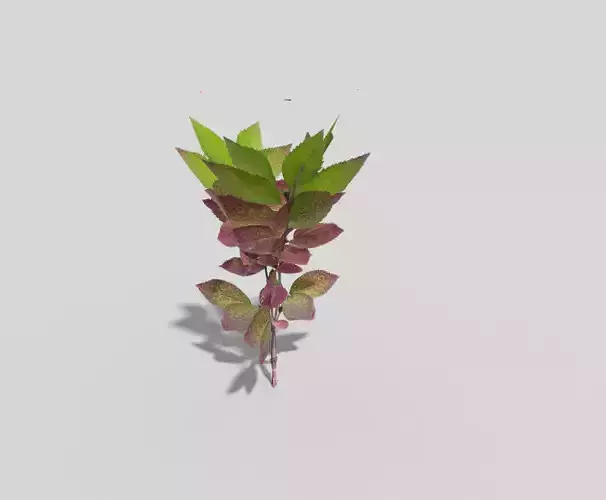 Low poly Plant