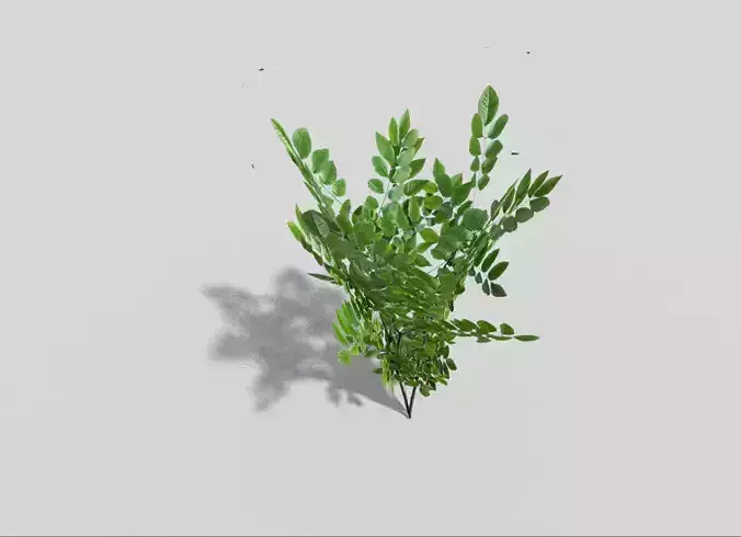 Low poly Plant