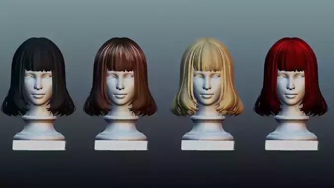 Female hair 4 colors