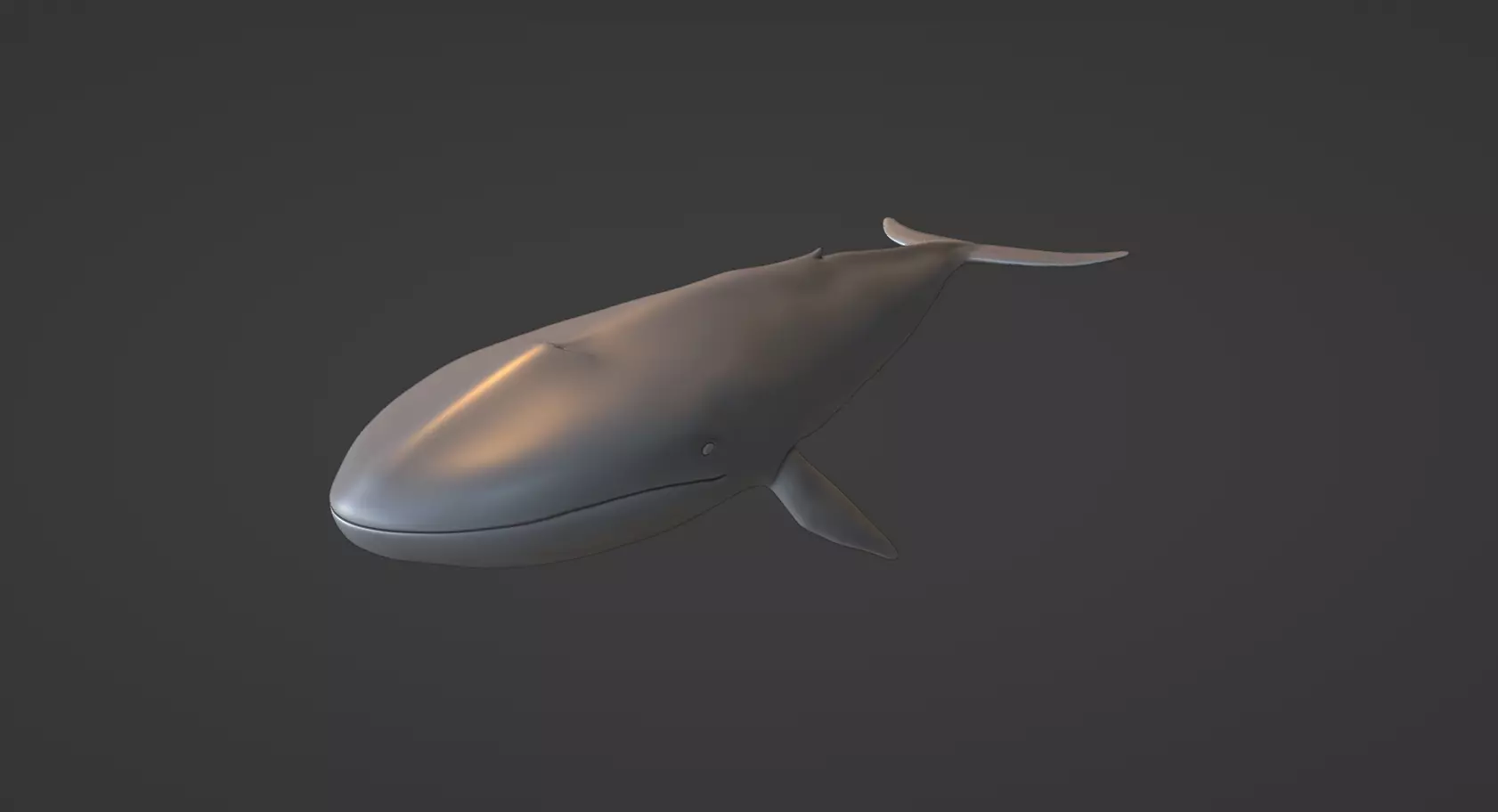 Whale Low-poly 3D model