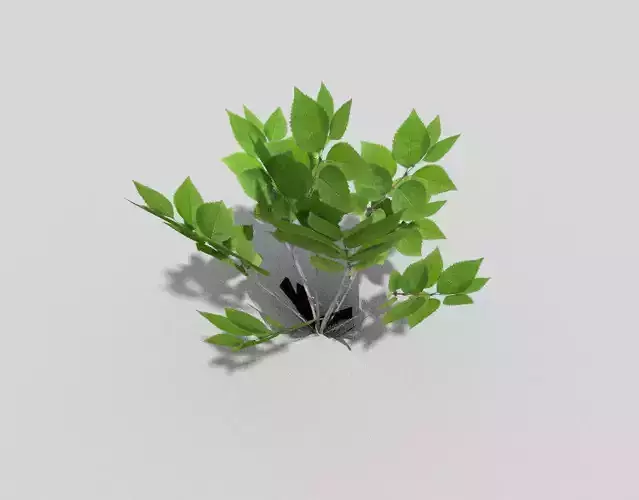 Low poly Plant