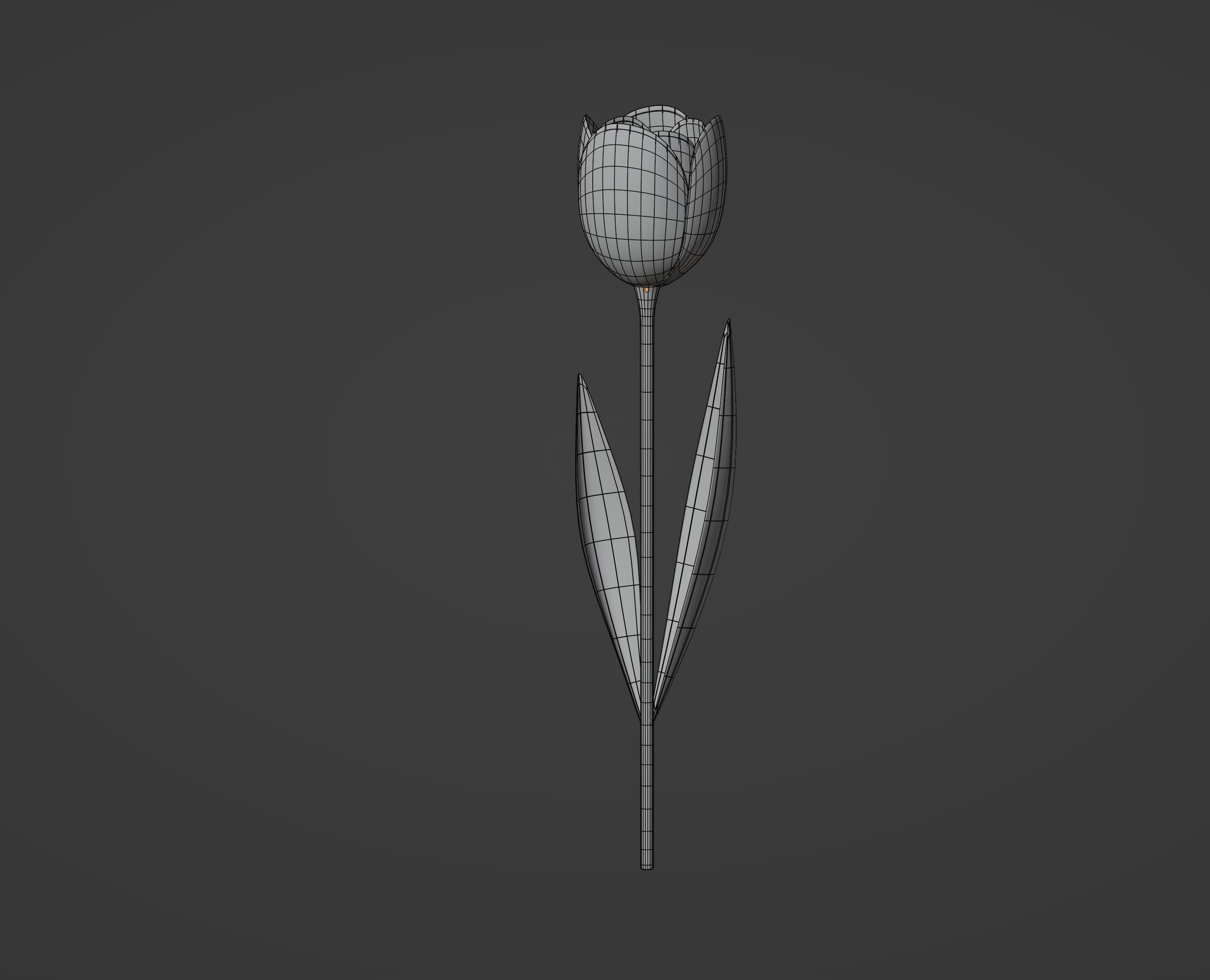 Tulip 3D model_12