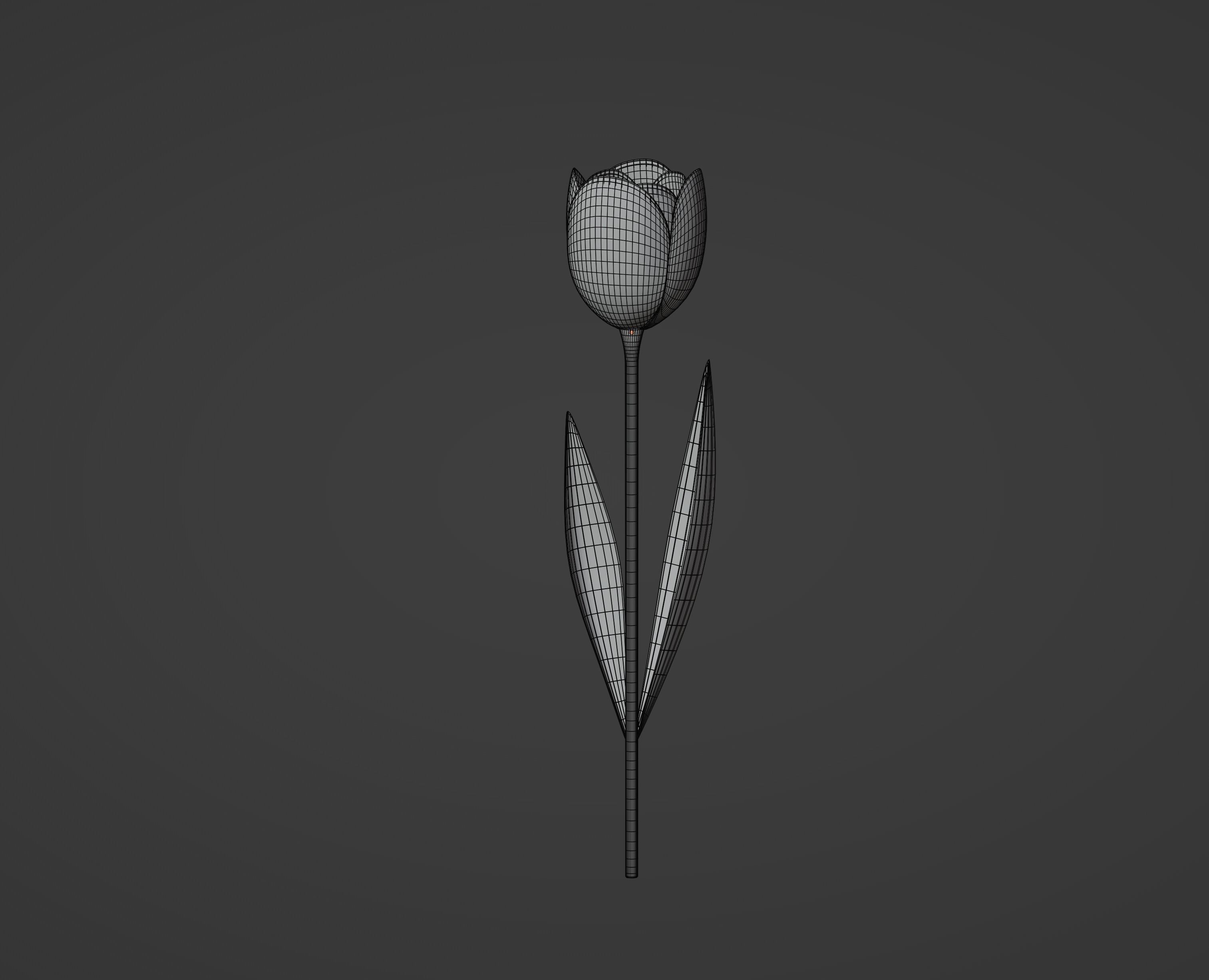 Tulip 3D model_13