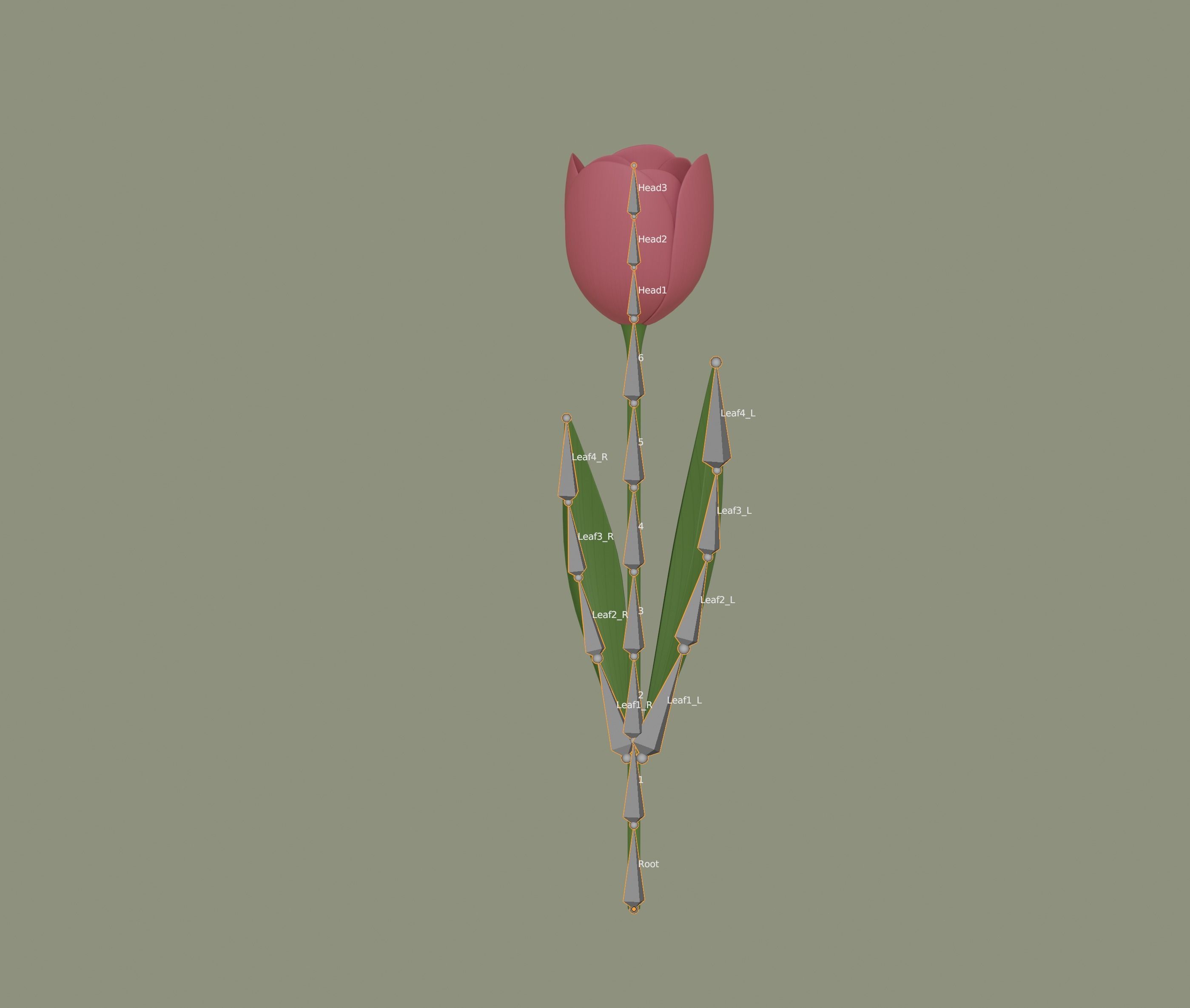 Tulip 3D model_11