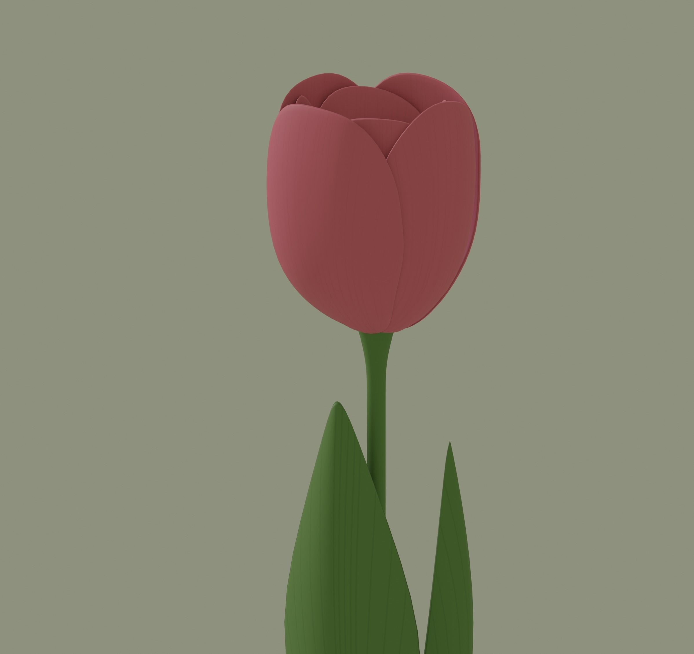 Tulip 3D model_10