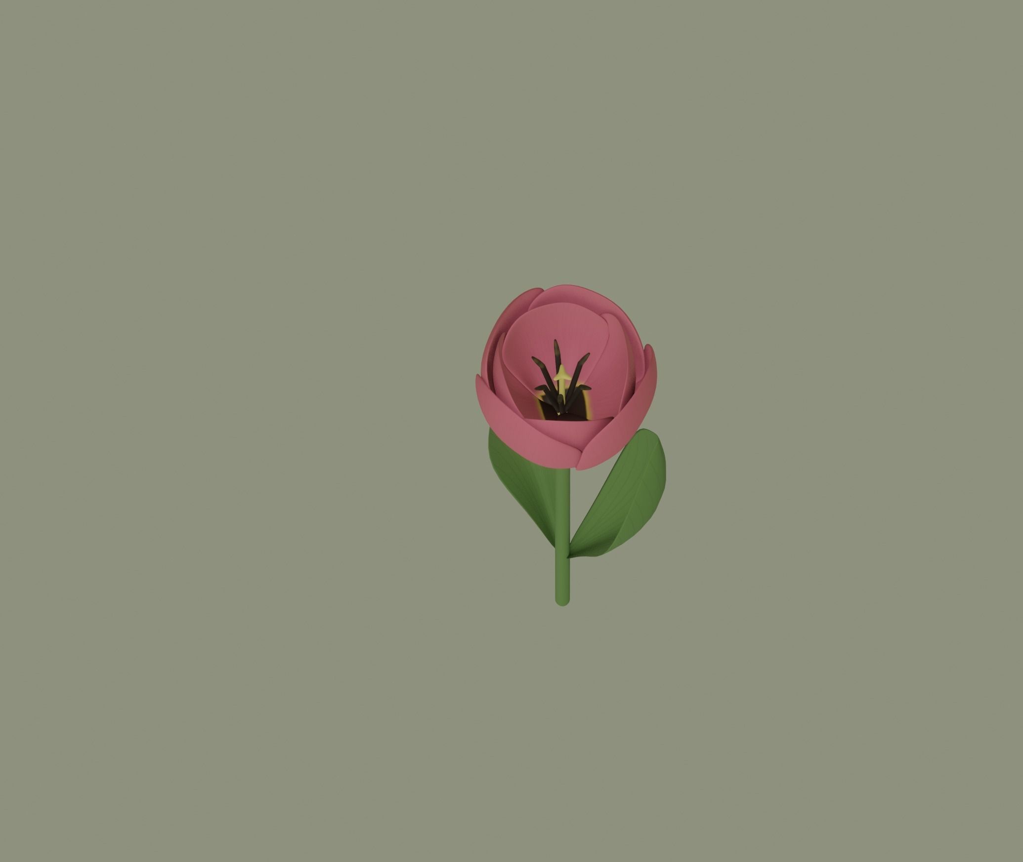 Tulip 3D model_4