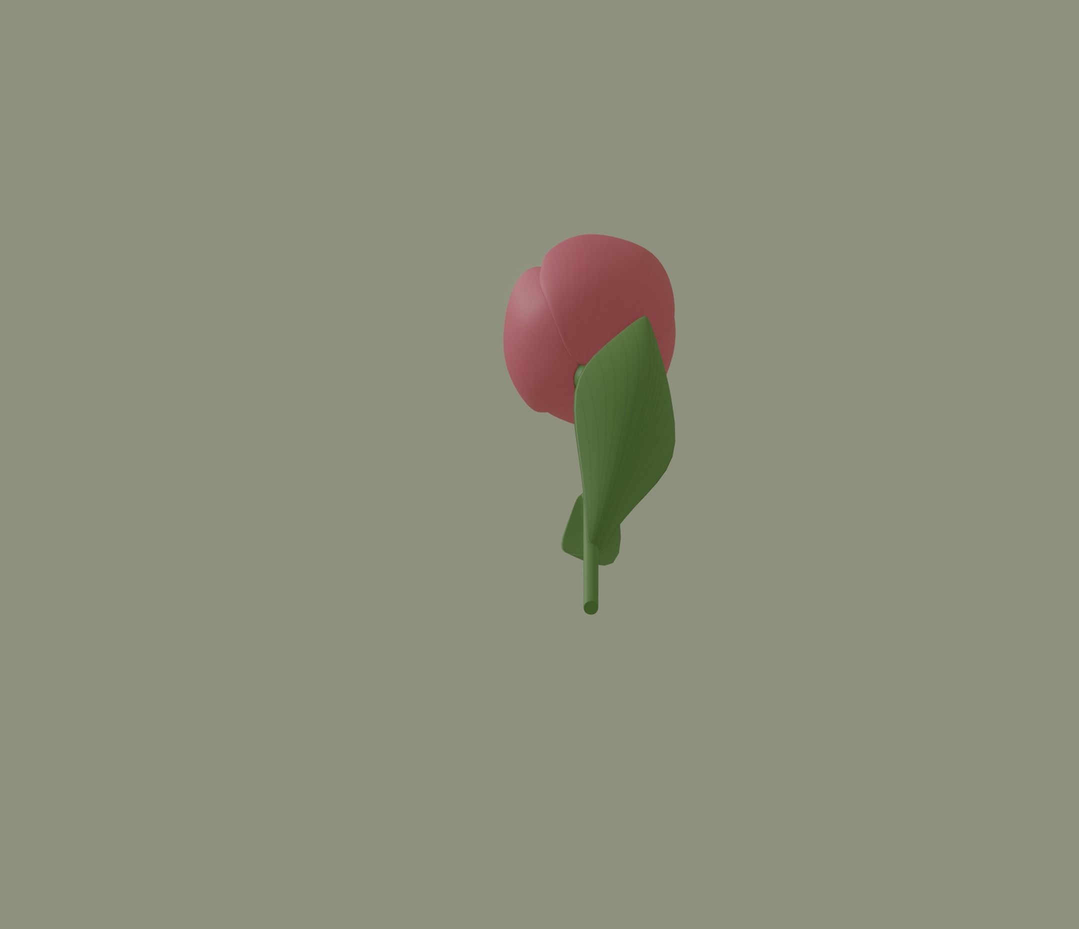 Tulip 3D model_6