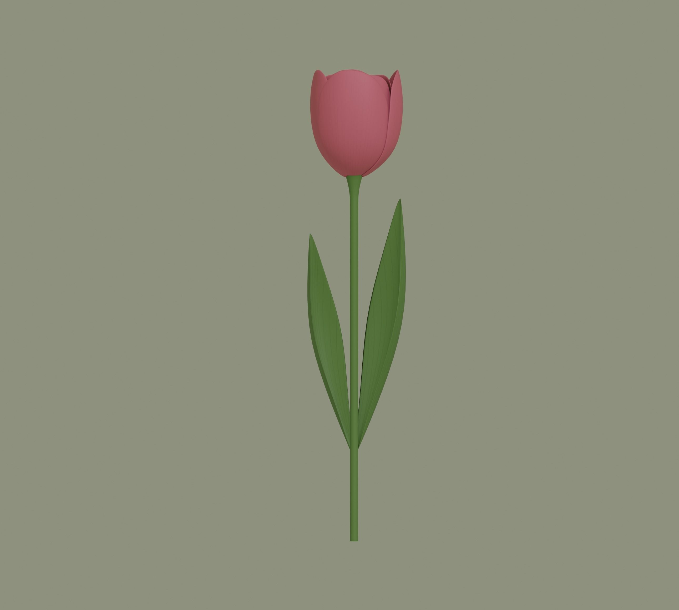 Tulip 3D model_1
