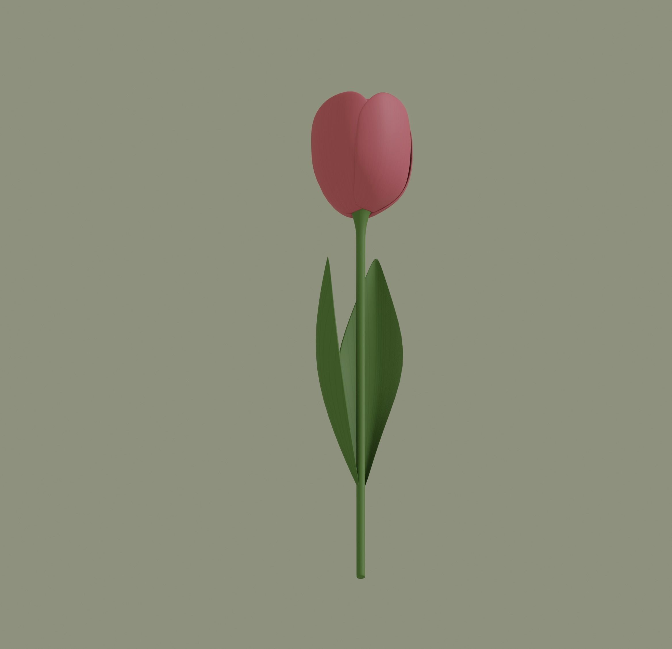Tulip 3D model_5