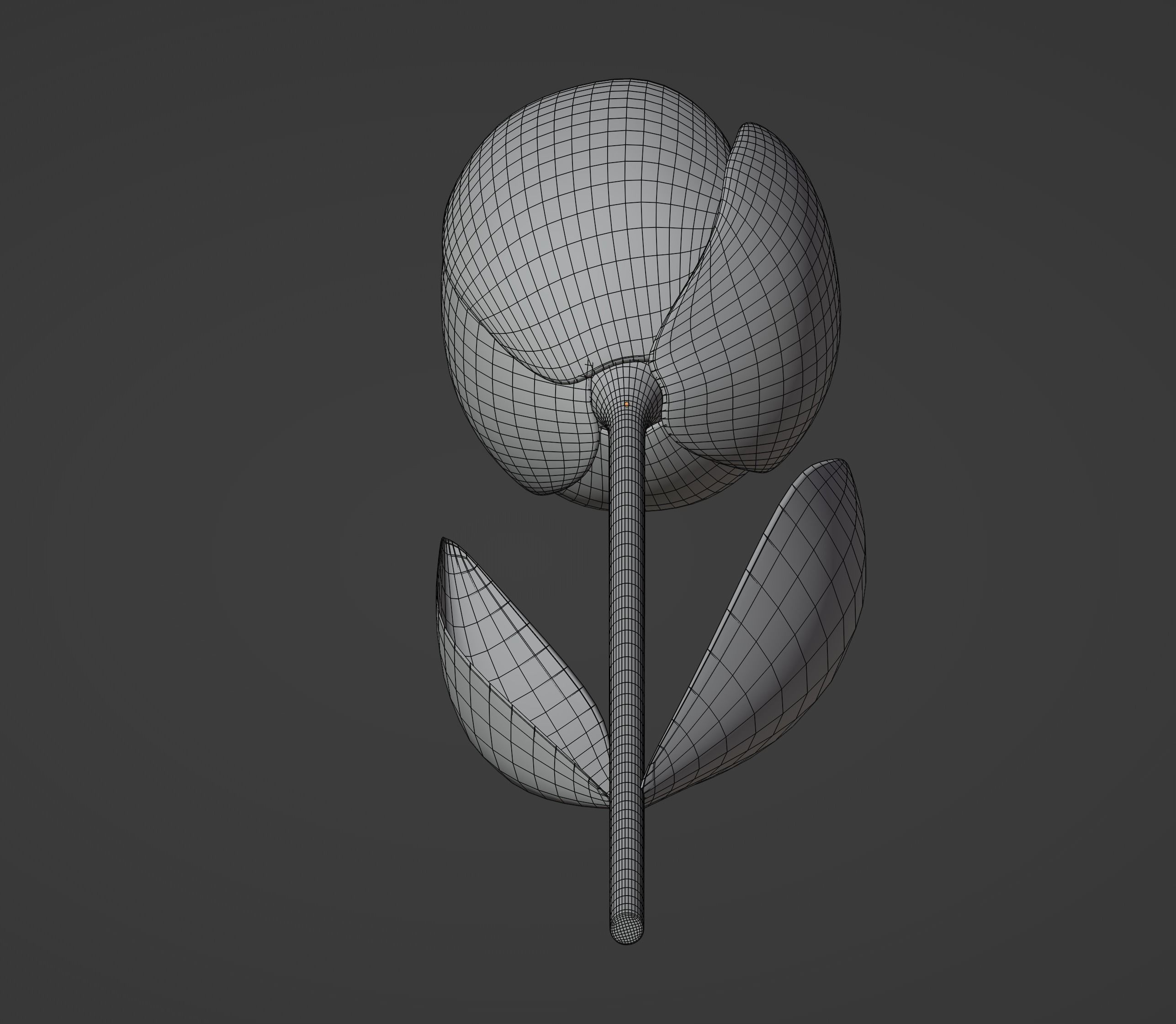 Tulip 3D model_14