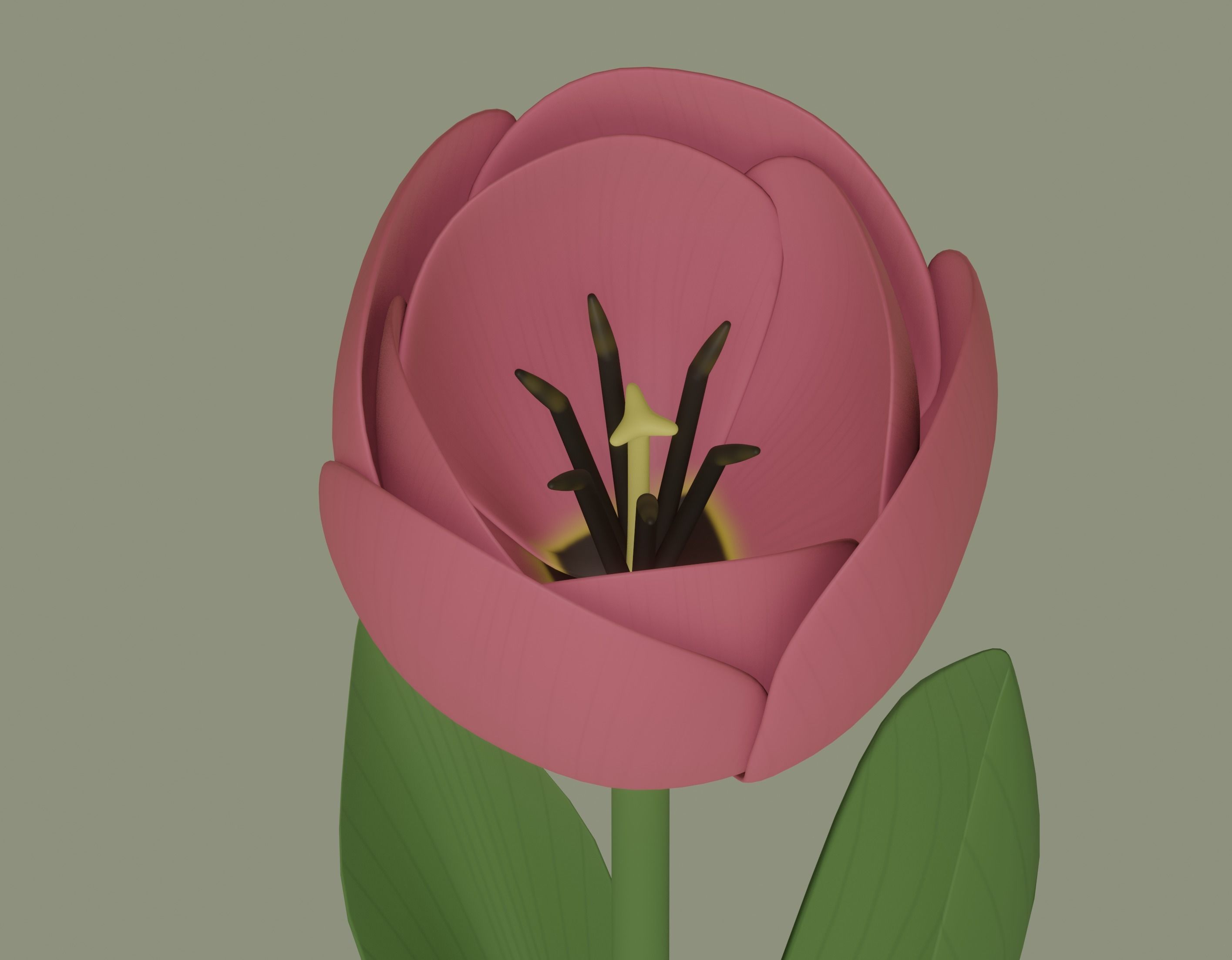 Tulip 3D model_8