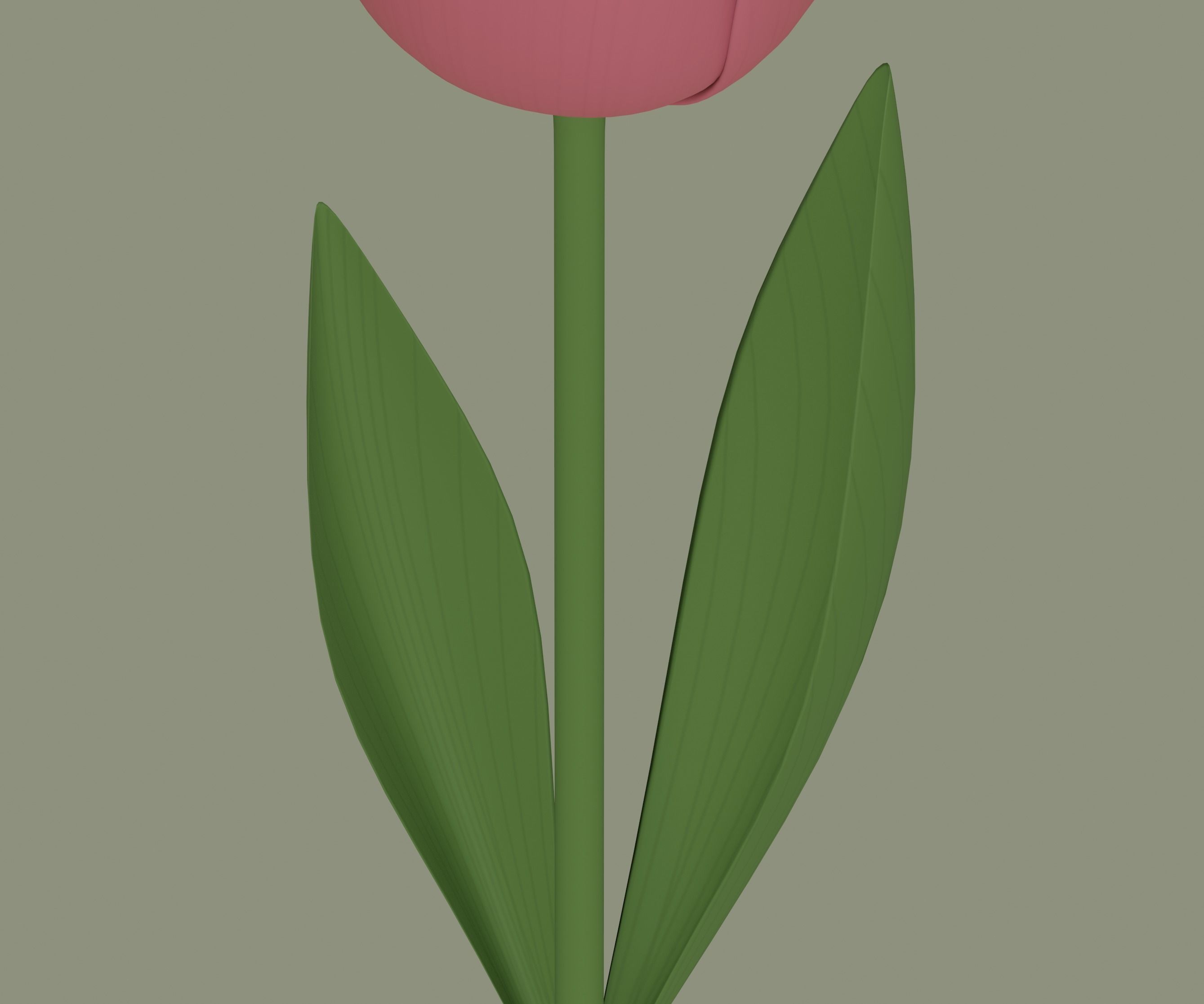 Tulip 3D model_9