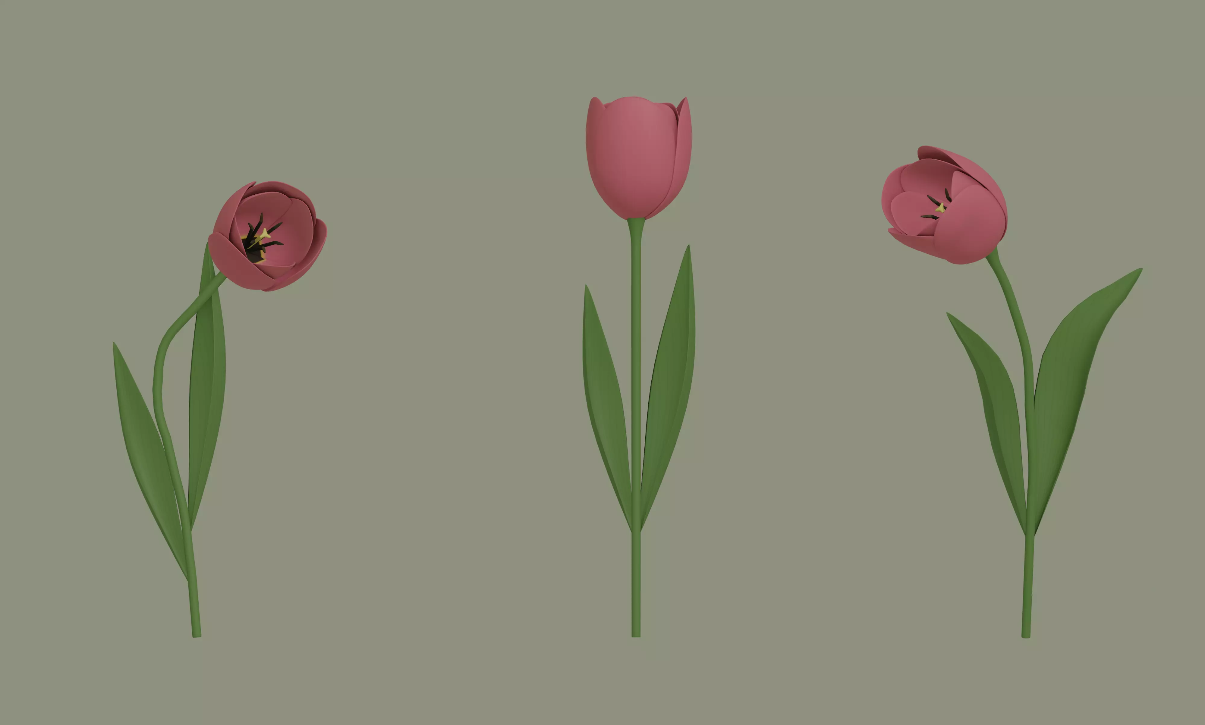 Tulip 3D model_0