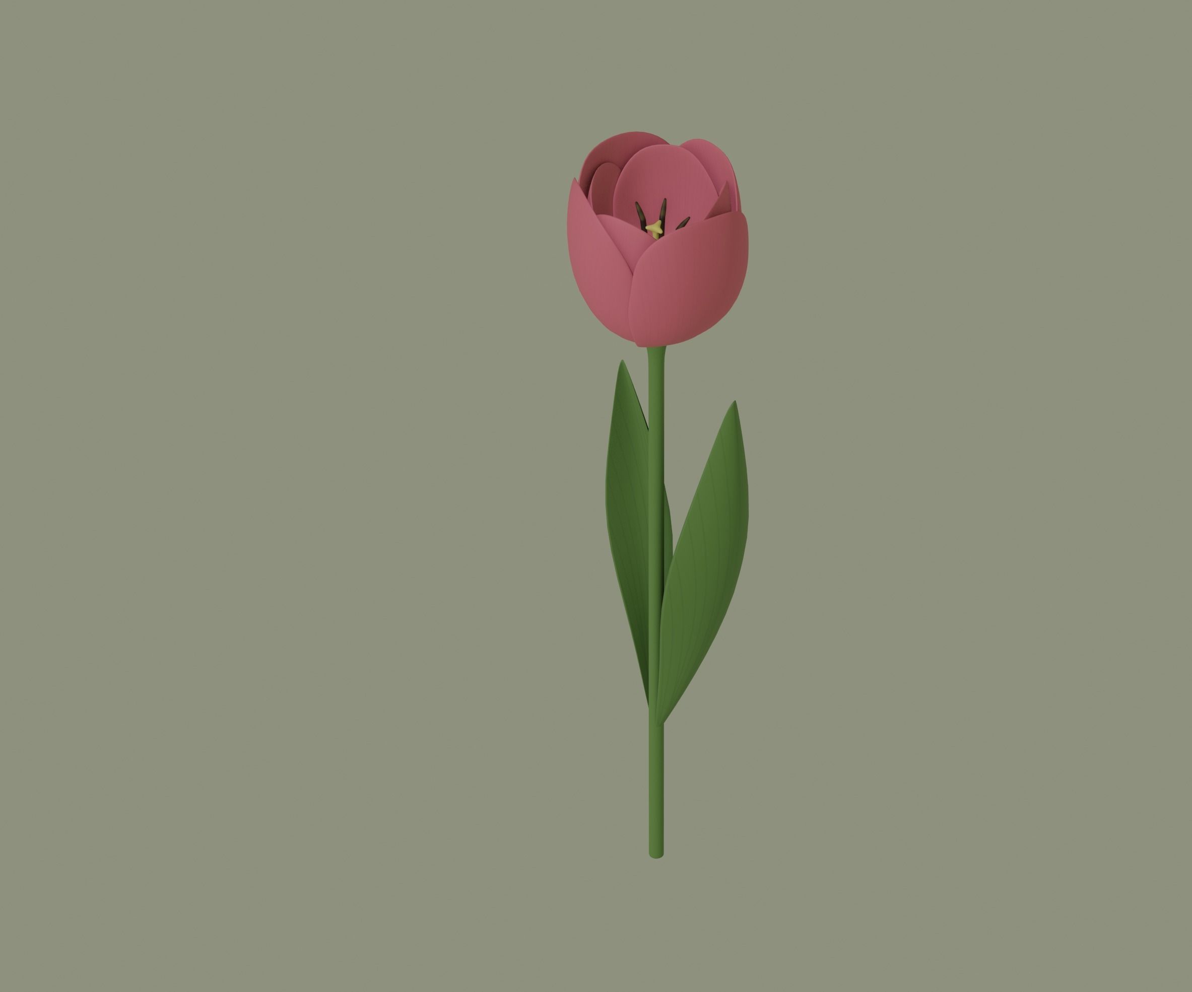 Tulip 3D model_3