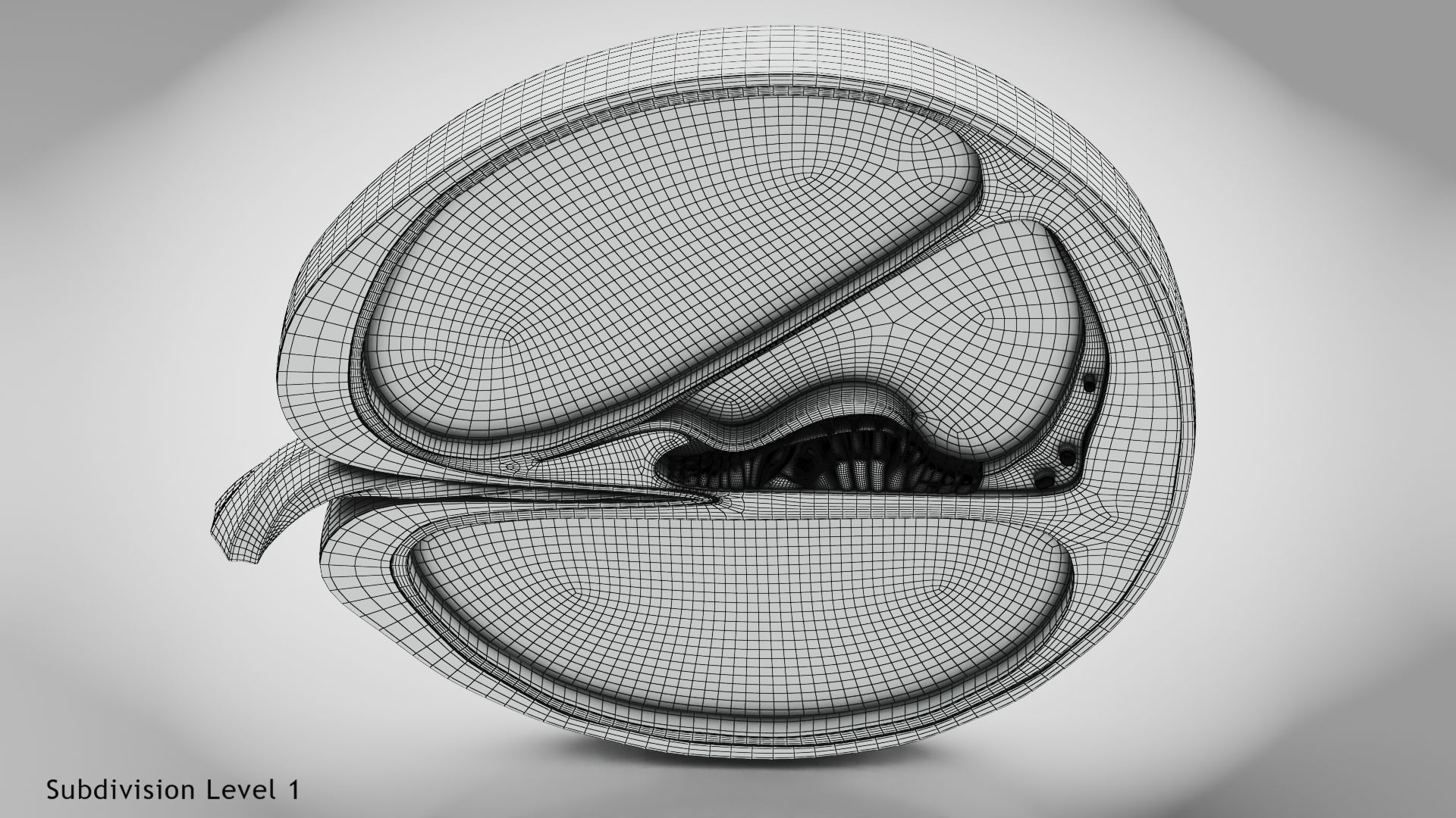 Cochlea cross section 3D model_19