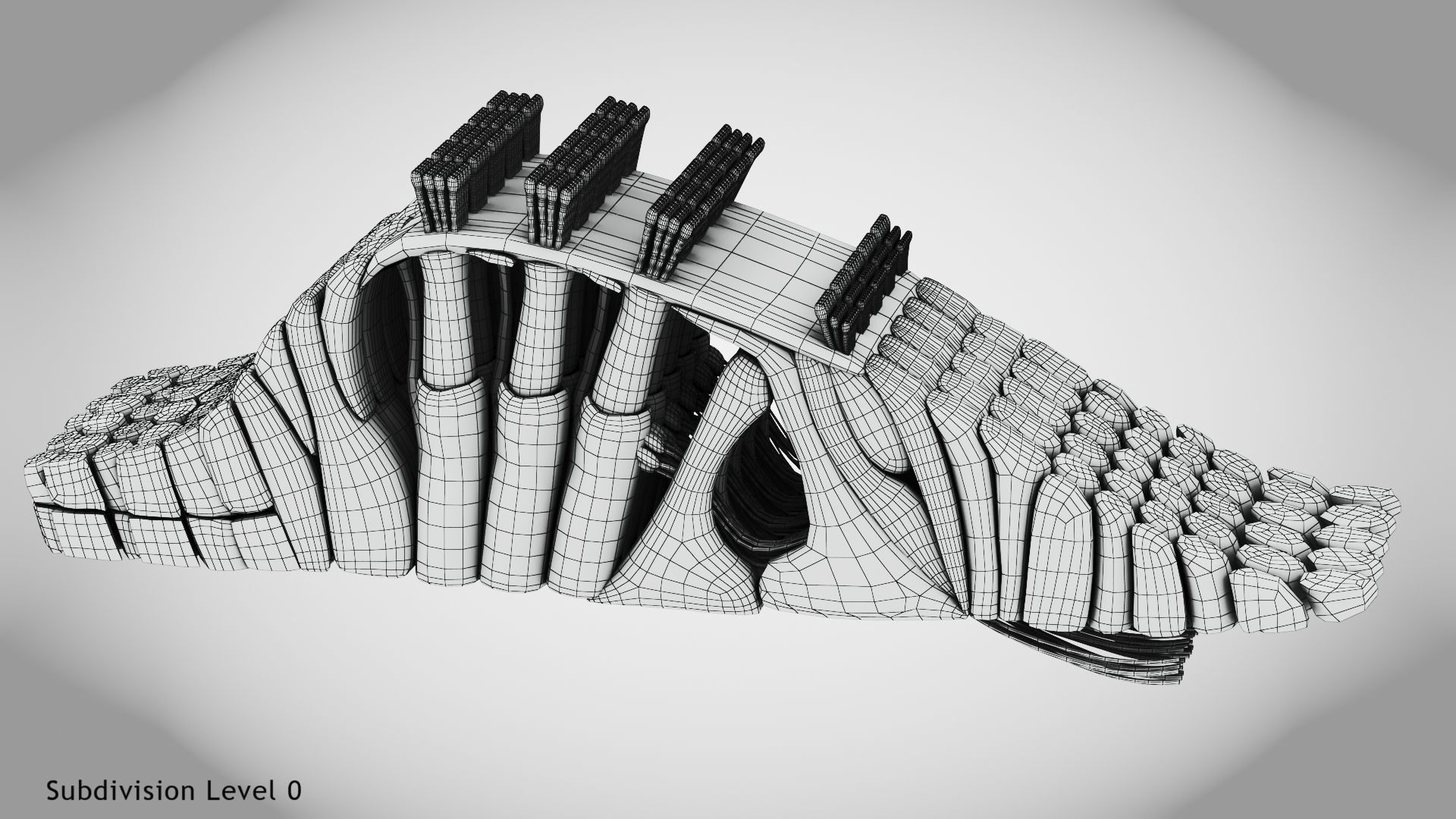 Cochlea cross section 3D model_16