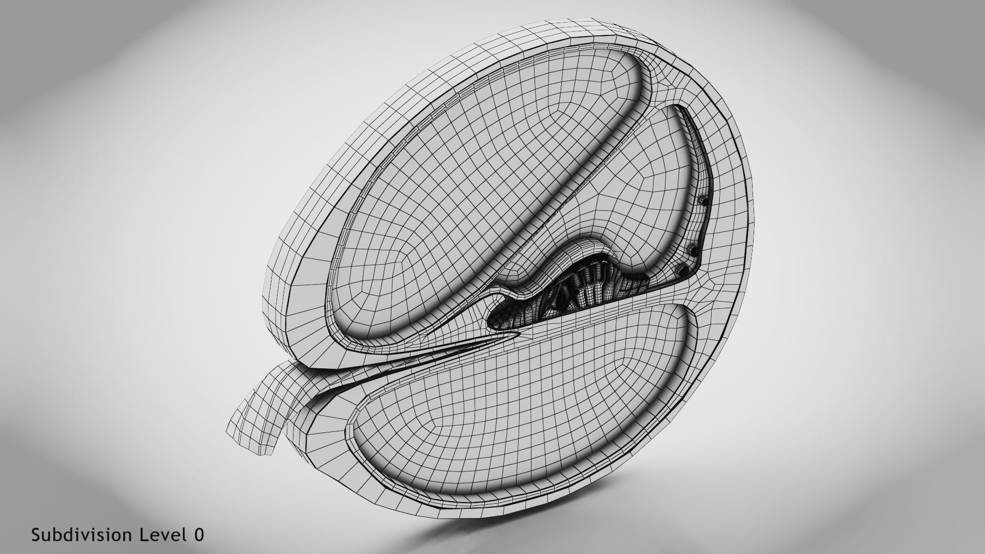 Cochlea cross section 3D model_14