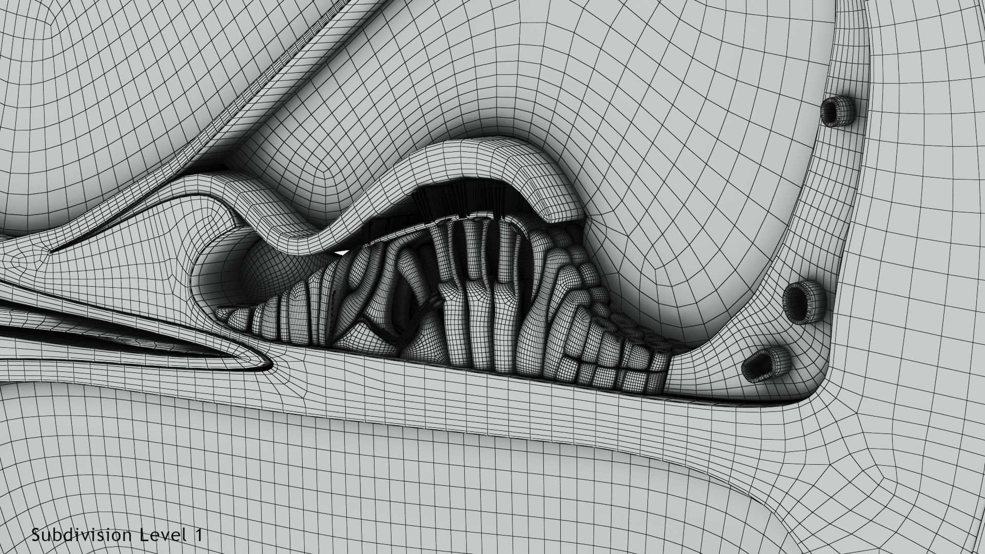 Cochlea cross section 3D model_25