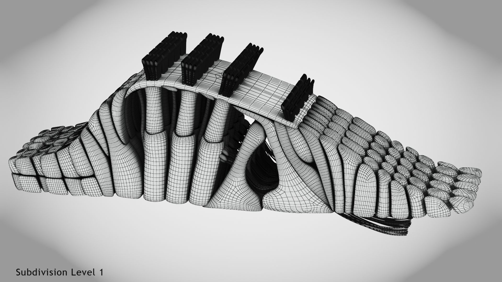 Cochlea cross section 3D model_17