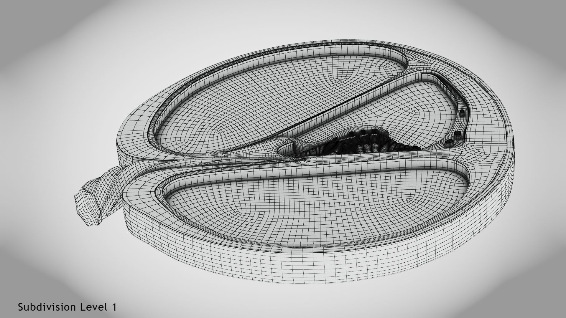 Cochlea cross section 3D model_21